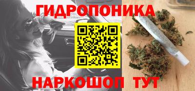 крисы Изобильный