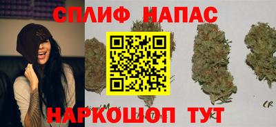 крисы Изобильный