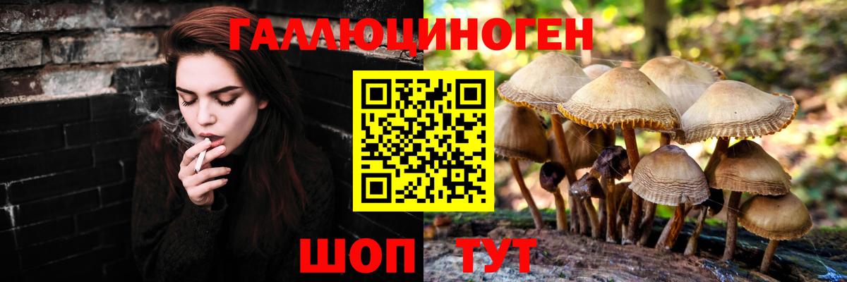 Галлюциногенные грибы MAGIC MUSHROOMS  Вход с VPN  Благовещенск 