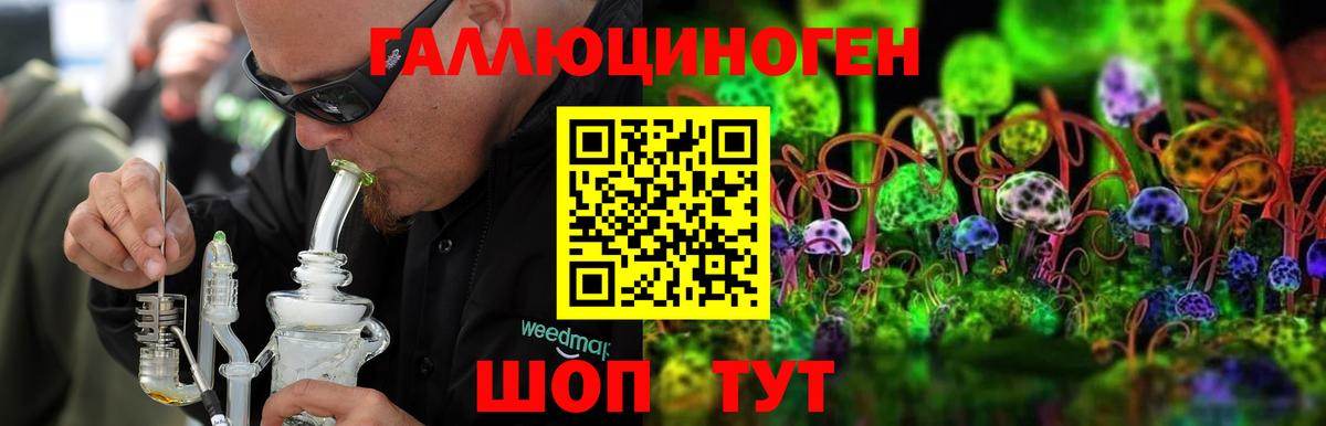 Псилоцибиновые грибы MAGIC MUSHROOMS Благовещенск